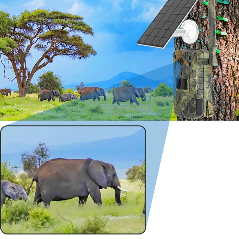 Caméra de Surveillance Solaire Junzheng T31ZX - 4MP 4G pour la Faune avec Vision Nocturne 30M
