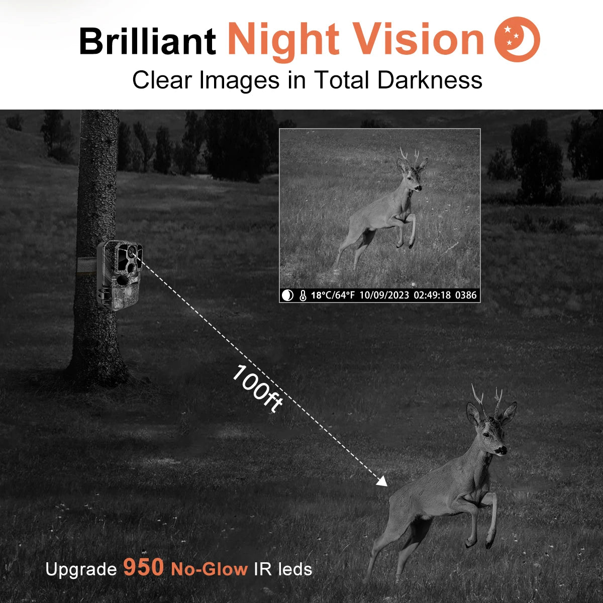 Caméra de Chasse LCK228 - 4K WiFi Vision Nocturne Infrarouge IP67 Étanche