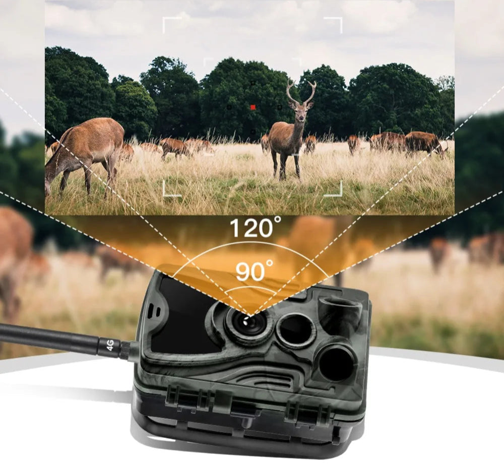 Caméra de Chasse 4G 36MP 4K avec Vision Nocturne et Contrôle APP