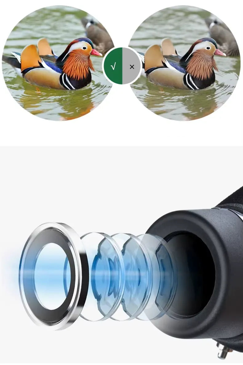 Monoculaire 10x42 Haute Qualité BAK4 pour Chasse et Observation Nocturne