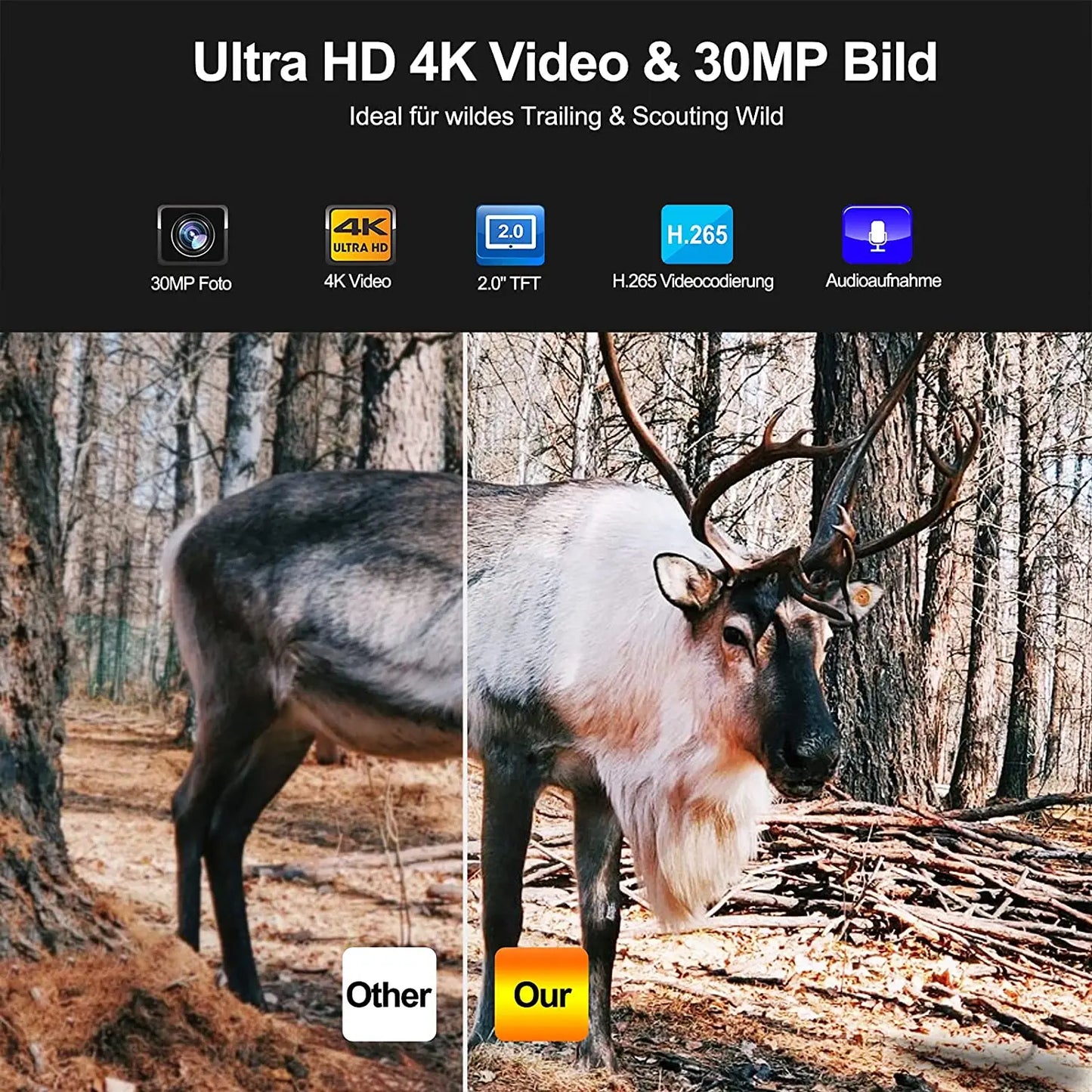Caméra de Chasse 4G 36MP 4K avec Vision Nocturne et Contrôle APP