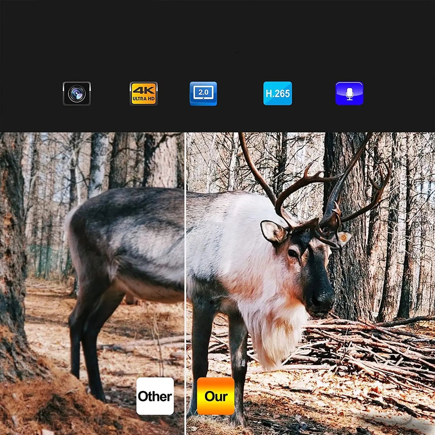 Caméra de Chasse 4G 36MP 4K avec Vision Nocturne et Contrôle APP