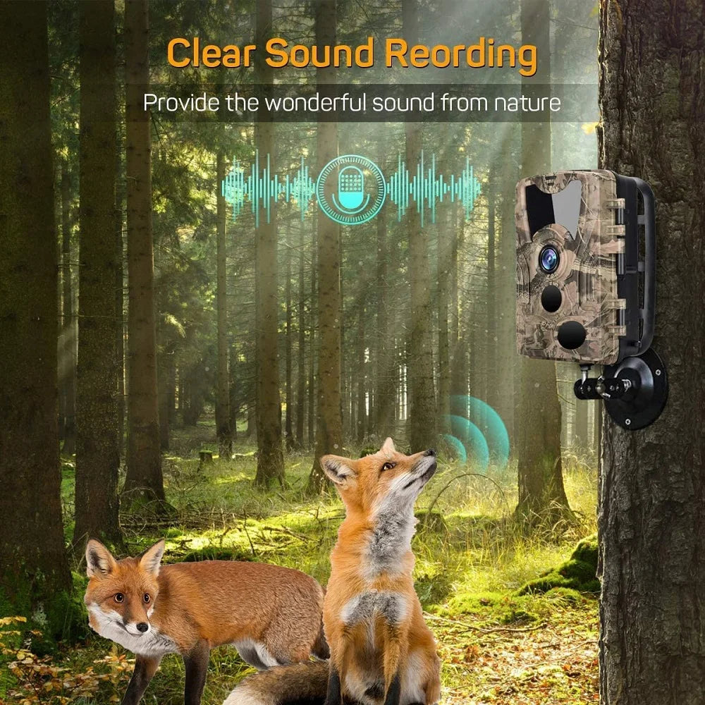 Caméra de Chasse HD HC-801Y - 20MP Vision Nocturne IP66 pour Observations Nocturnes