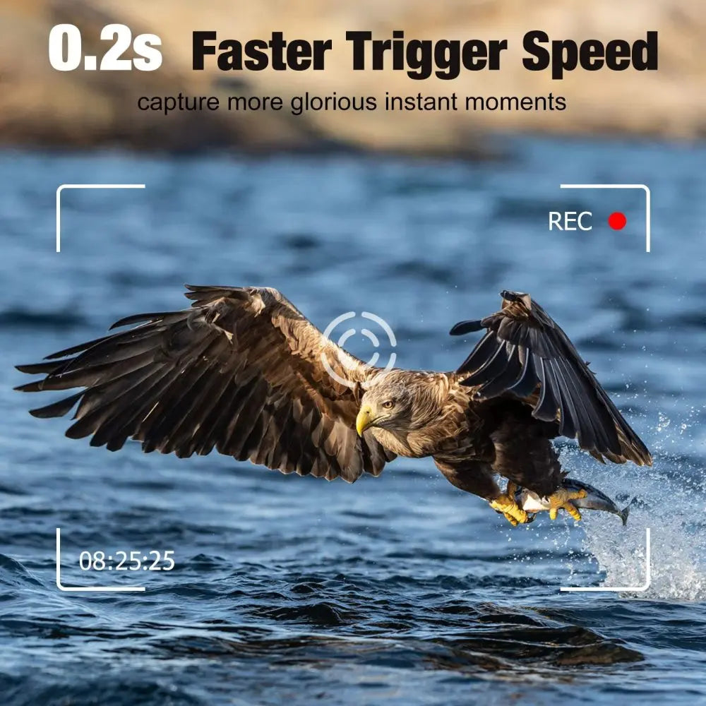 Caméra de Chasse à Vision Nocturne SuntekCam - 4G avec Lentille Double et Vidéo 4K