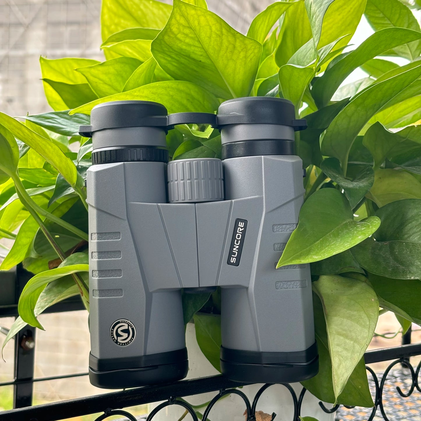 Jumelles Compactes 10x42 : Optiques Améliorées pour Randonnée et Observation Faune