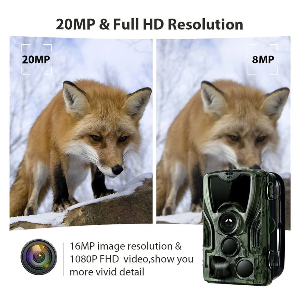 Caméra de Chasse HC-801A : Vision Nocturne Infrarouge, Haute Résolution 16MP