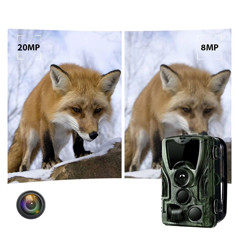 Caméra de Chasse HC-801A : Vision Nocturne Infrarouge, Haute Résolution 16MP