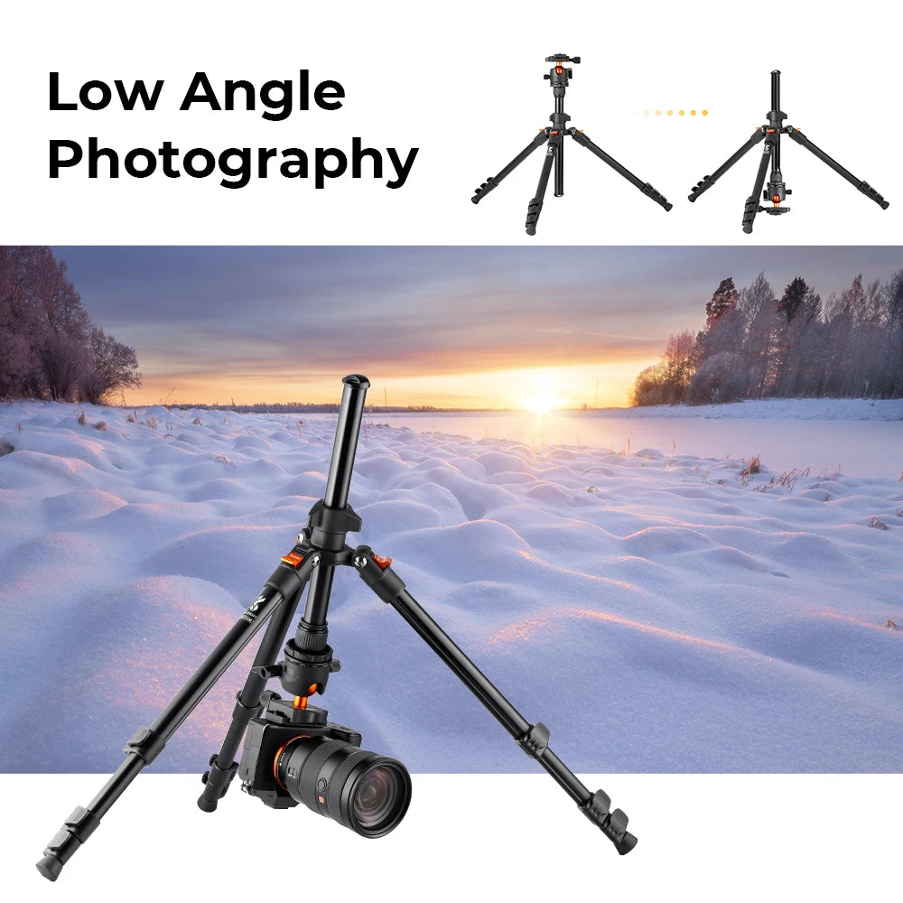 Trépied de Voyage Flexible pour Appareil Photo avec Tête Rotative 360° pour DSLR