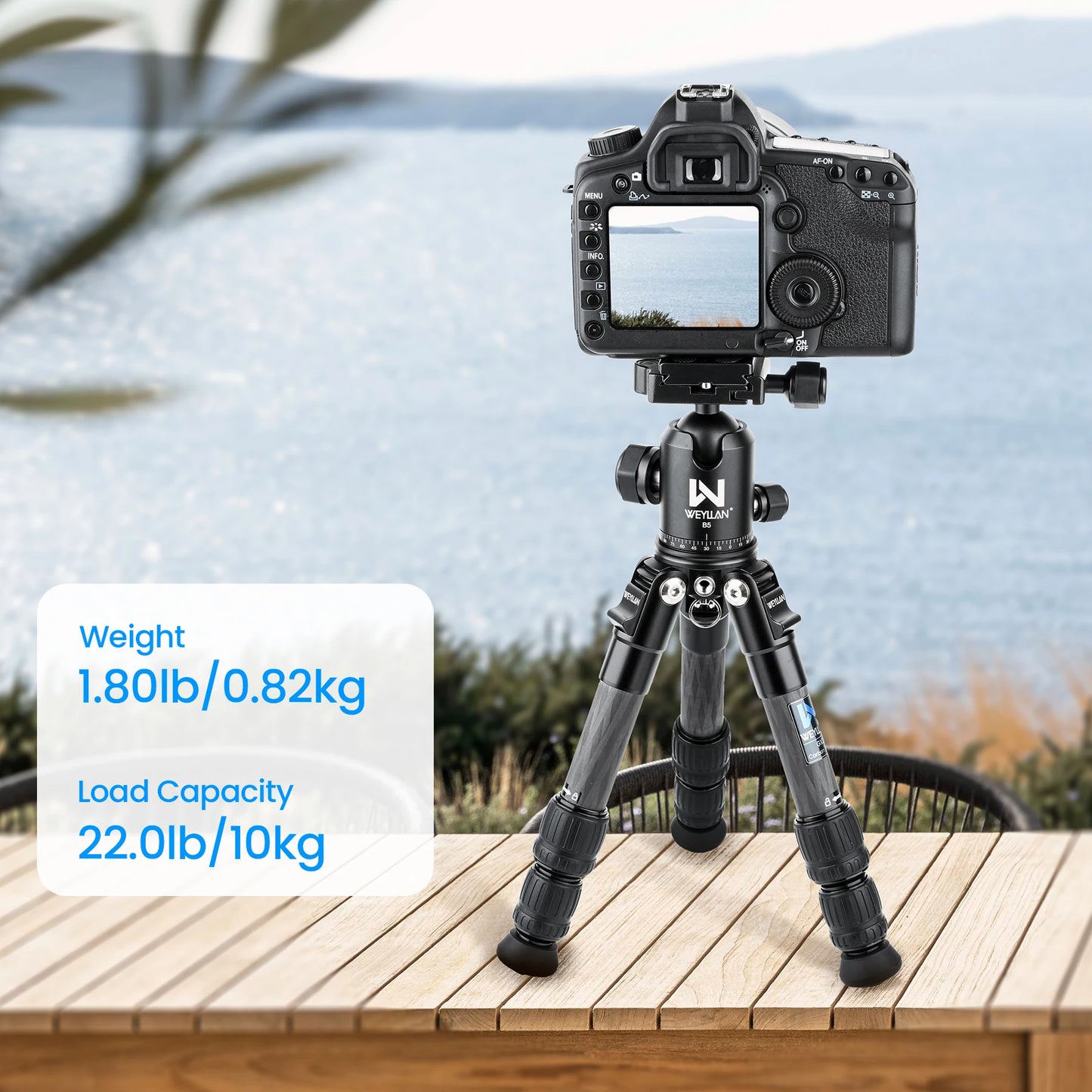 Trépied de Table Léger en Fibre de Carbone pour Appareil Photo DSLR 10kg