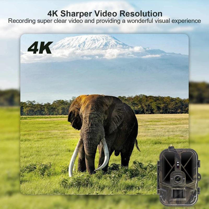 Caméra de Surveillance HC-940PRO-LI - Faune 4G HD 50MP avec Vision Nocturne Infrarouge