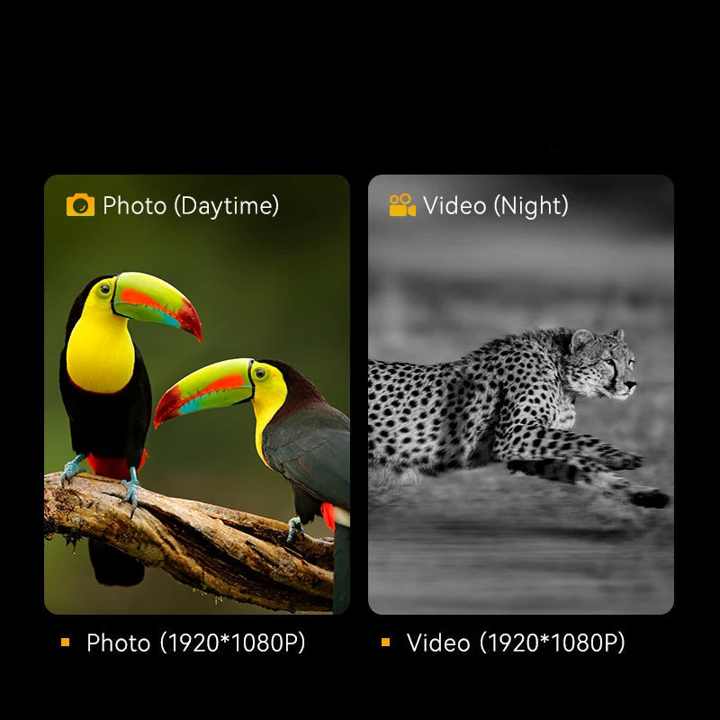 Jumelles Numériques 1080P avec Vision Nocturne Infrarouge et Écran IPS 2.8”