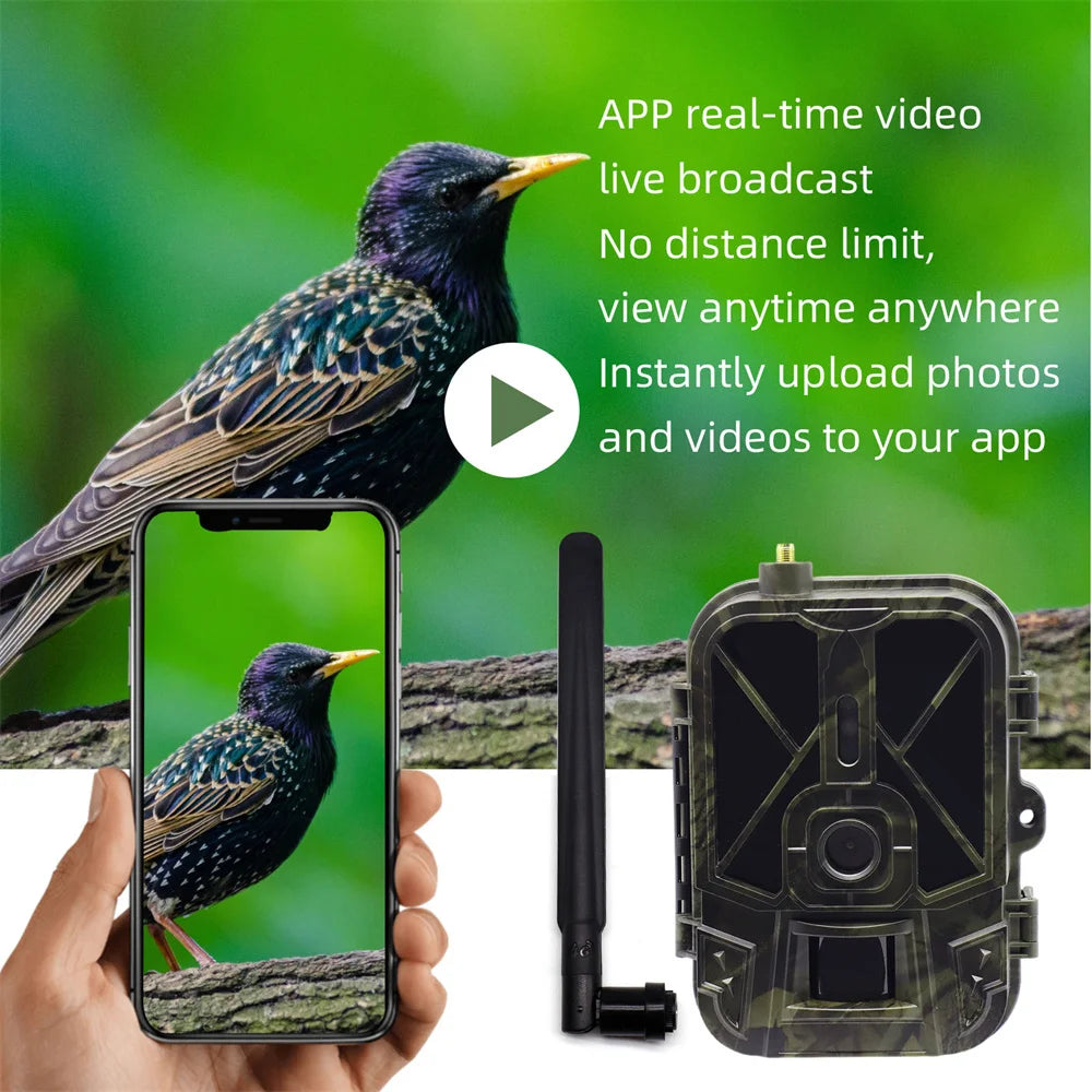 Caméra de Surveillance HC-940PRO-LI - Faune 4G HD 50MP avec Vision Nocturne Infrarouge