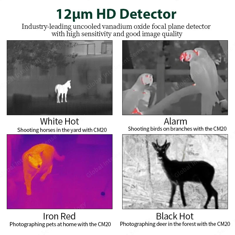 Caméra Thermique Monoculaire pour Chasse et Observation Nocturne