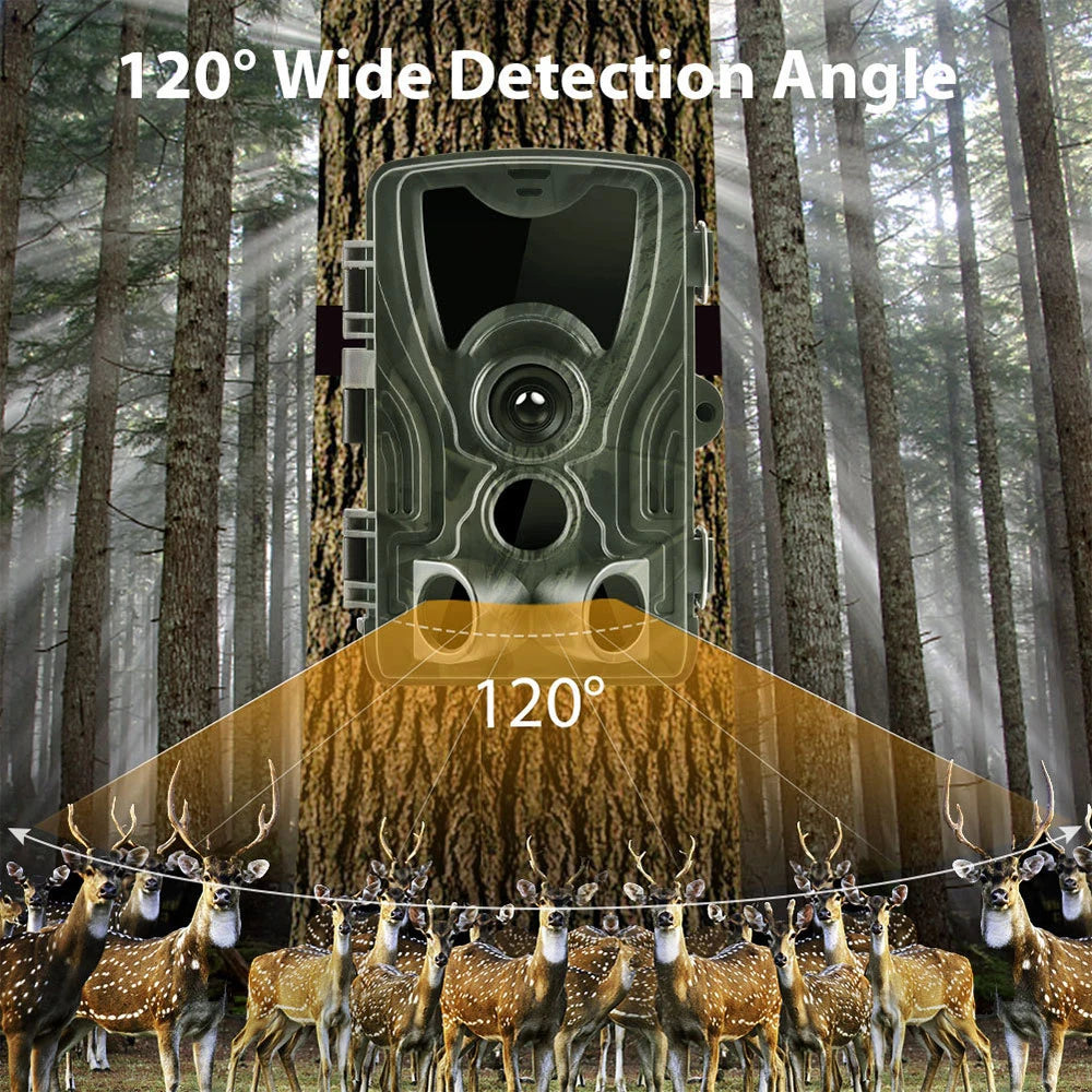 Caméra de Chasse HC-801A : Vision Nocturne Infrarouge, Haute Résolution 16MP