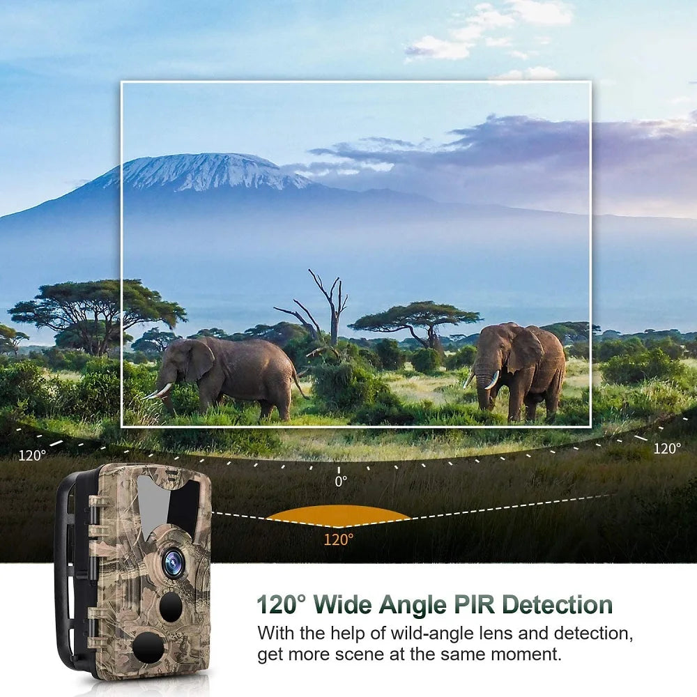 Caméra de Chasse HD HC-801Y - 20MP Vision Nocturne IP66 pour Observations Nocturnes