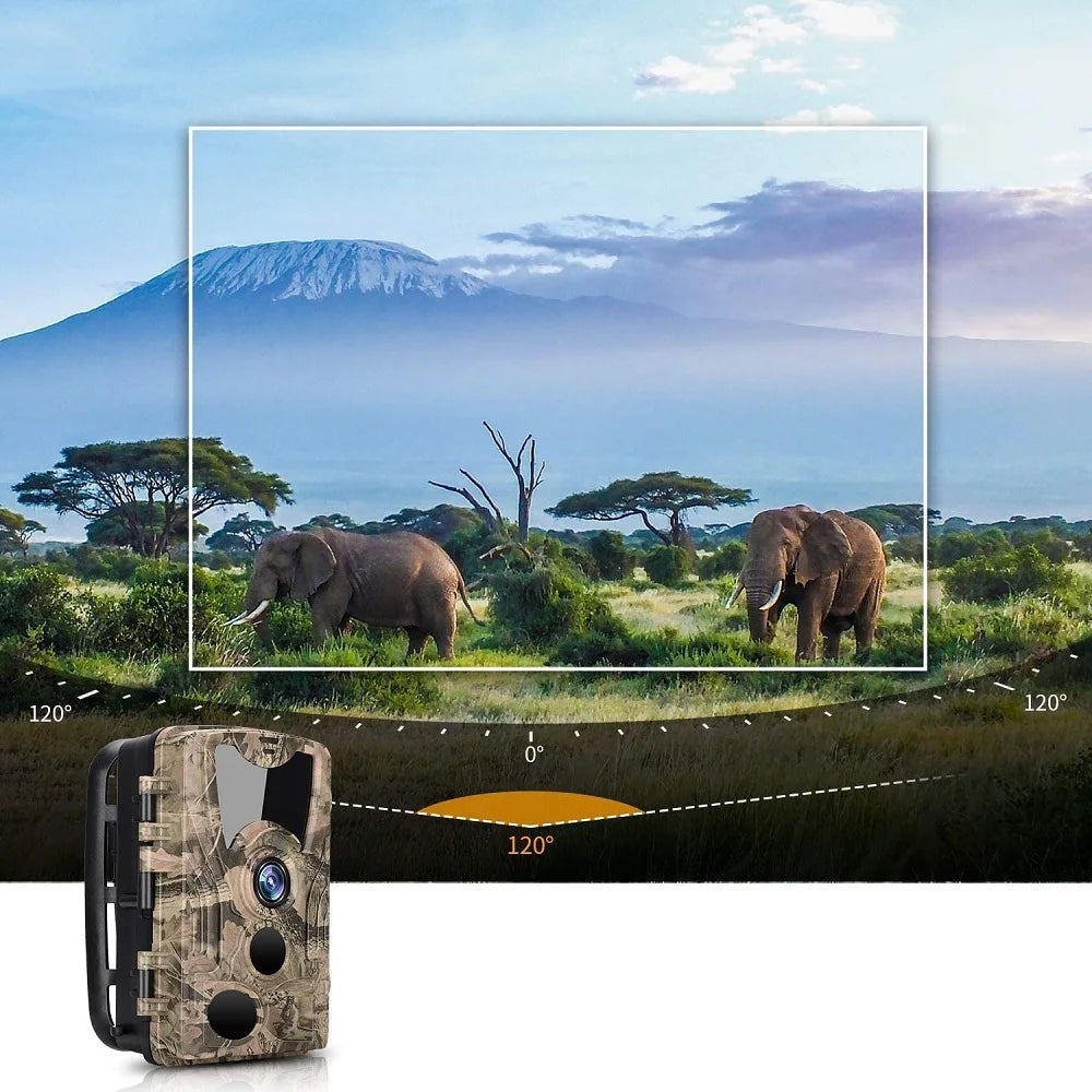 Caméra de Chasse HD HC-801Y - 20MP Vision Nocturne IP66 pour Observations Nocturnes