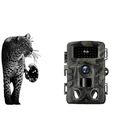 Caméra de Chasse Nocturne PR700 - 36MP avec Vision Infrarouge et Détection Rapide