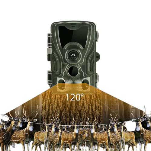 Caméra de Chasse HC-801A : Vision Nocturne Infrarouge, Haute Résolution 16MP