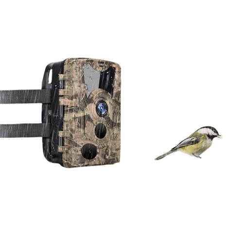 Caméra de Chasse HD HC-801Y - 20MP Vision Nocturne IP66 pour Observations Nocturnes