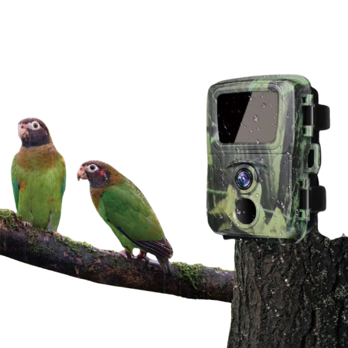 Caméra de Chasse Miniature Mini600 - 20MP avec Vision Nocturne Infrarouge