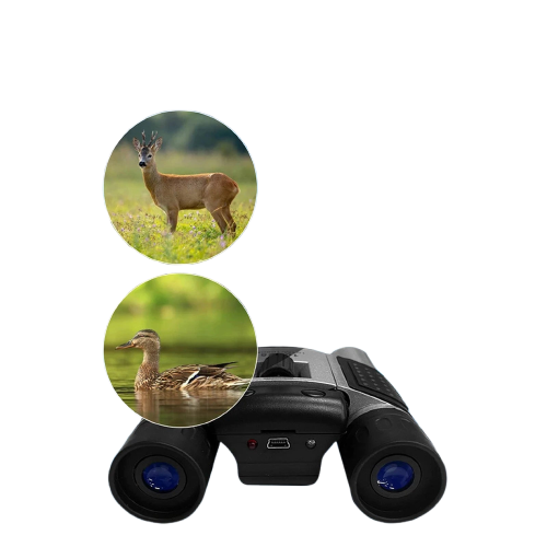 Jumelles Numériques 10x Zoom avec Capteur CMOS et Enregistrement Vidéo