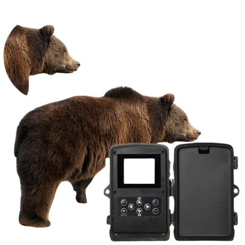 Caméra de Chasse 20MP 1080P avec Vision Nocturne Infrarouge et Batterie Lithium