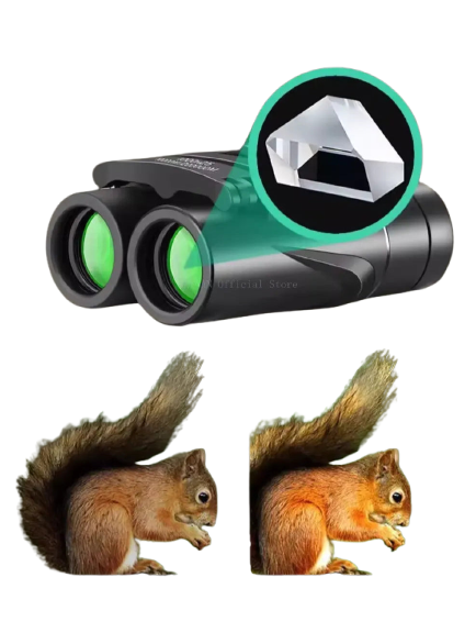 Jumelles Compactes HD 10x pour Observation Lointaine et Randonnée
