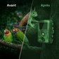 Caméra de Chasse Miniature Mini600 - 20MP avec Vision Nocturne Infrarouge