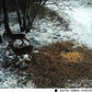 Caméra de Chasse HD HC-801Y - 20MP Vision Nocturne IP66 pour Observations Nocturnes