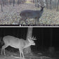 Caméra de Chasse HC810M - sans Fil 20MP : Vision Nocturne et Détection 120°