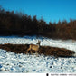 Caméra de Chasse HC810M - sans Fil 20MP : Vision Nocturne et Détection 120°