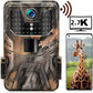 Caméra de Chasse 4K avec Vision Nocturne Infrarouge et Capteur WiFi