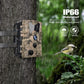Caméra de Chasse HD HC-801Y - 20MP Vision Nocturne IP66 pour Observations Nocturnes