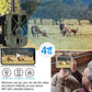 Caméra de Surveillance HC-940PRO-LI - Faune 4G HD 50MP avec Vision Nocturne Infrarouge