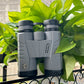 Jumelles Compactes 10x42 : Optiques Améliorées pour Randonnée et Observation Faune
