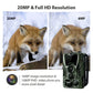 Caméra de Chasse HC-801A : Vision Nocturne Infrarouge, Haute Résolution 16MP