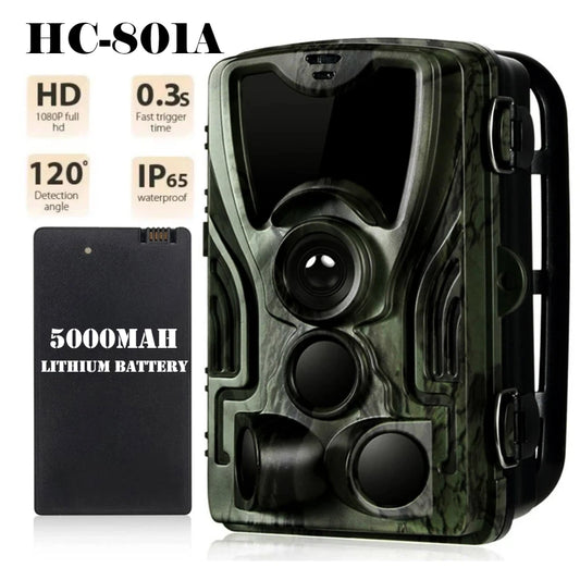 Caméra de Chasse HC-801A : Vision Nocturne Infrarouge, Haute Résolution 16MP