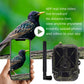 Caméra de Surveillance HC-940PRO-LI - Faune 4G HD 50MP avec Vision Nocturne Infrarouge