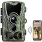 Caméra de Chasse 4K avec Vision Nocturne Infrarouge et Capteur WiFi