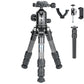 Trépied de Table Léger en Fibre de Carbone pour Appareil Photo DSLR 10kg