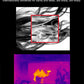 Monoculaire Thermique Haute Performance pour Observation Nocturne et Chasse